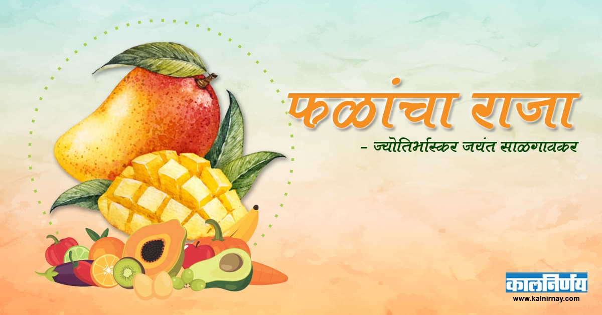 आंबा | King of Fruits | Mango | Mango Lover