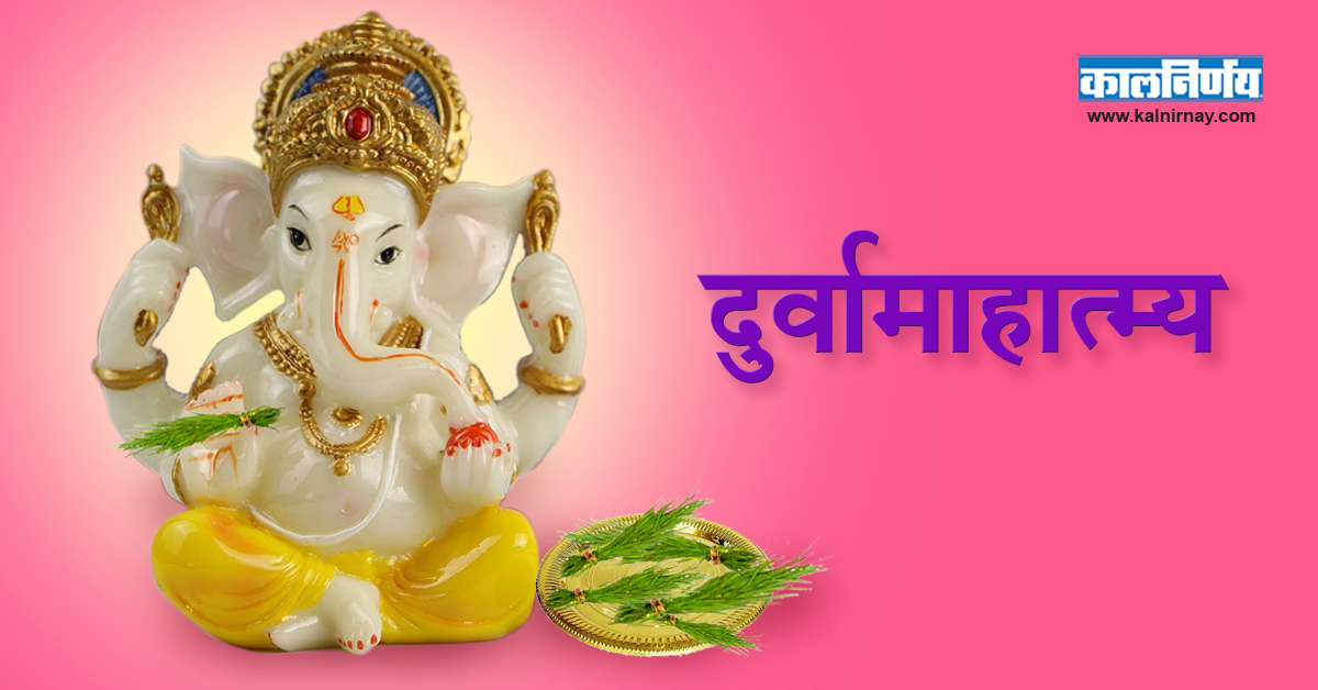 दुर्वा | Ganpati Durva | Durva Grass | Durva For Pooja | Dhruv Grass | Ganpati Durva Story | Durva | Scutch grass