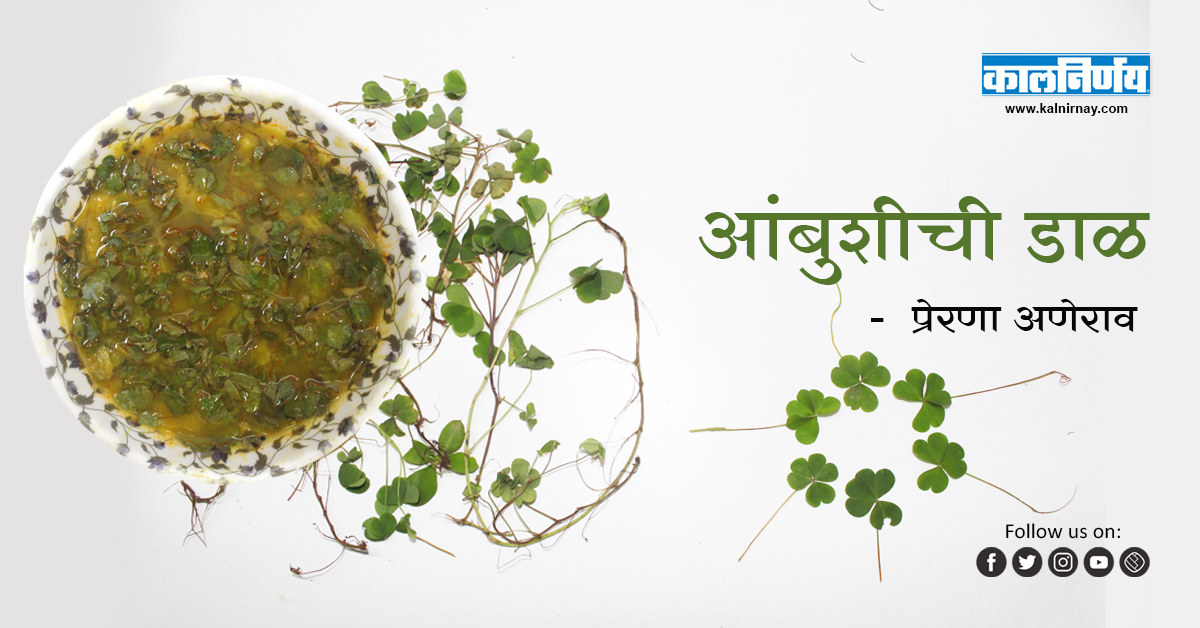 आंबुशी | रानभाज्या | oxalis corniculata family | Creeping woodsorrel | procumbent yellow sorrel | sleeping beauty