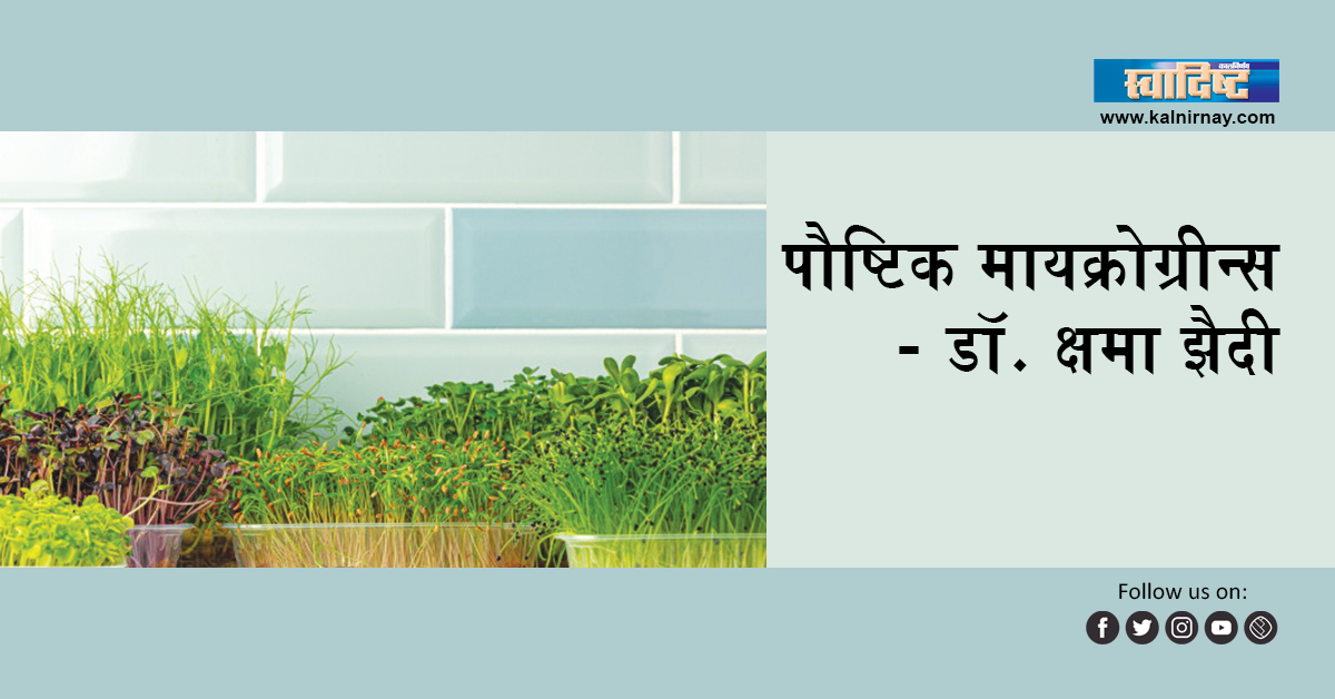 मायक्रोग्रीन्स | Microgreens | growing microgreens at home | microgreens list | growing microgreens | grow microgreens at home | organic microgreens | microgreens at home