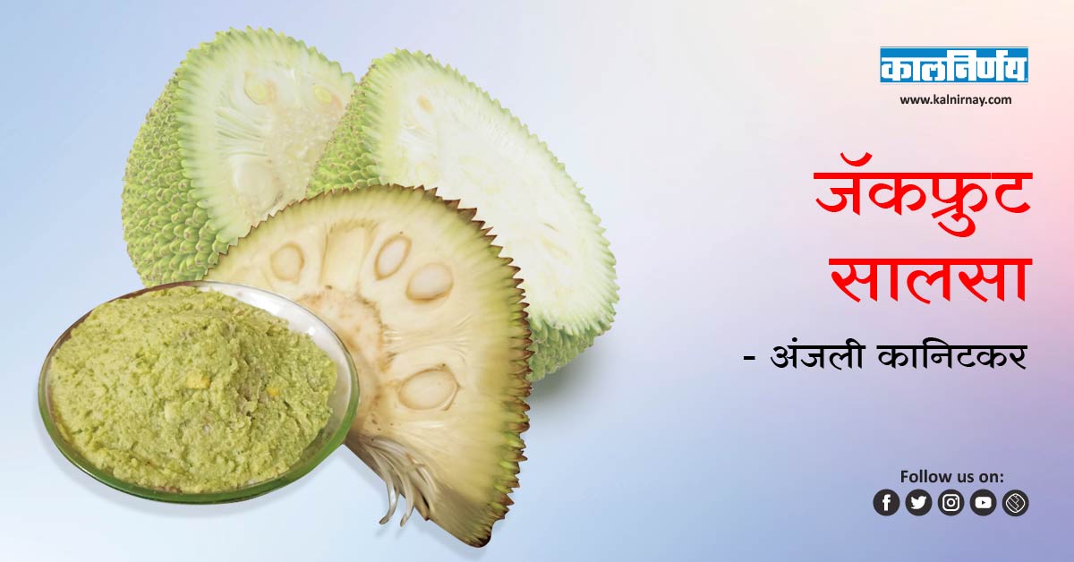 सालसा | sweet jackfruit | organic jackfruit | Jackfruit Marathi recipe