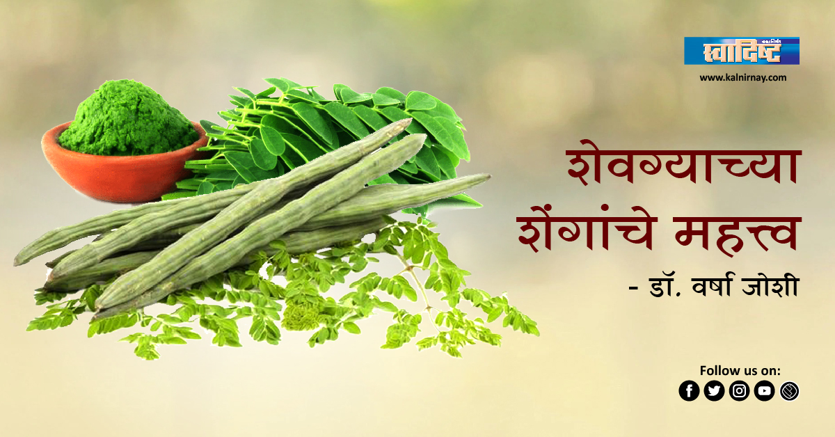 शेंगां | fresh moringa leaves | moringa seeds | moringa leaves | moringa seeds in marathi | drumstick in marathi | hybrid moring seeds