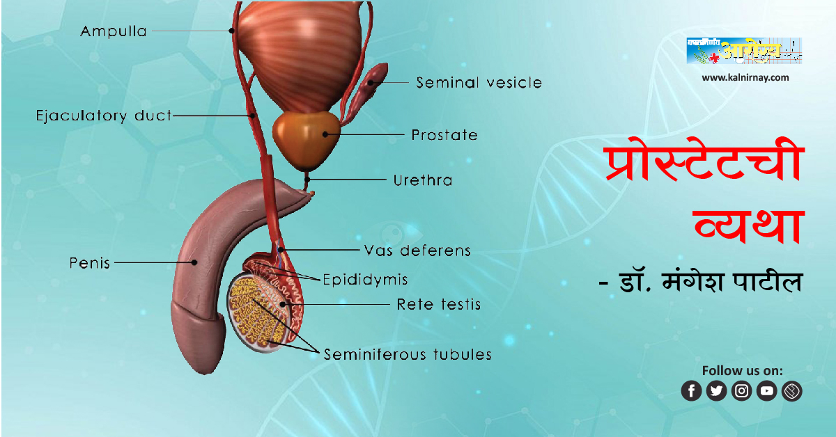 प्रोस्टेट | psma therapy | prostate procedures | prostatitis cure | male prostate cancer | prostate screening | prostate problems age | prostate problems