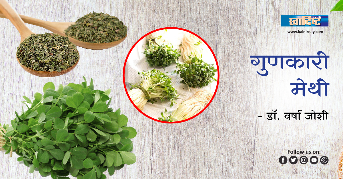 मेथी | kasuri methi | green methi | methidana | kasoori methi | organic methi | irani methi