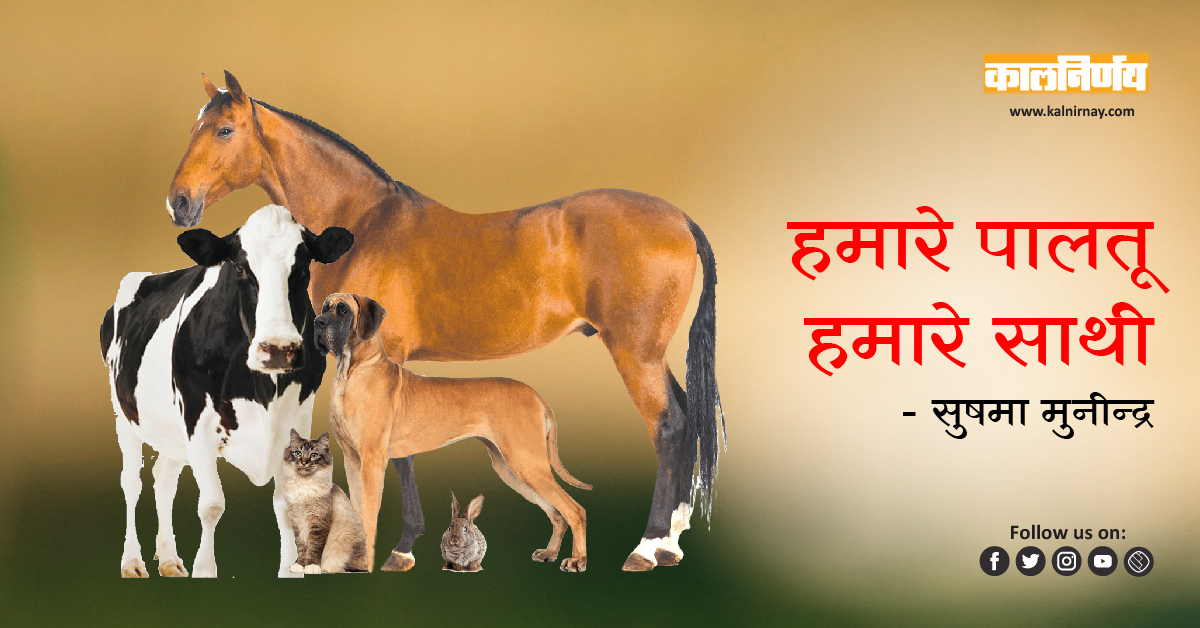 पालतू | dog care | cat care | pets health | puppies care | animal pet care | vet care